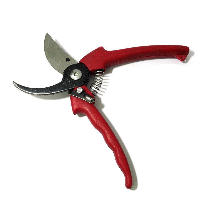 FORBICE ARCHMAN 2 - Forbice per Potatura Vigna Archman 22 cm
