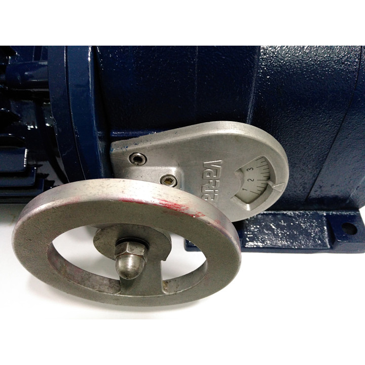 Elettromotore con Riduzione Variabile