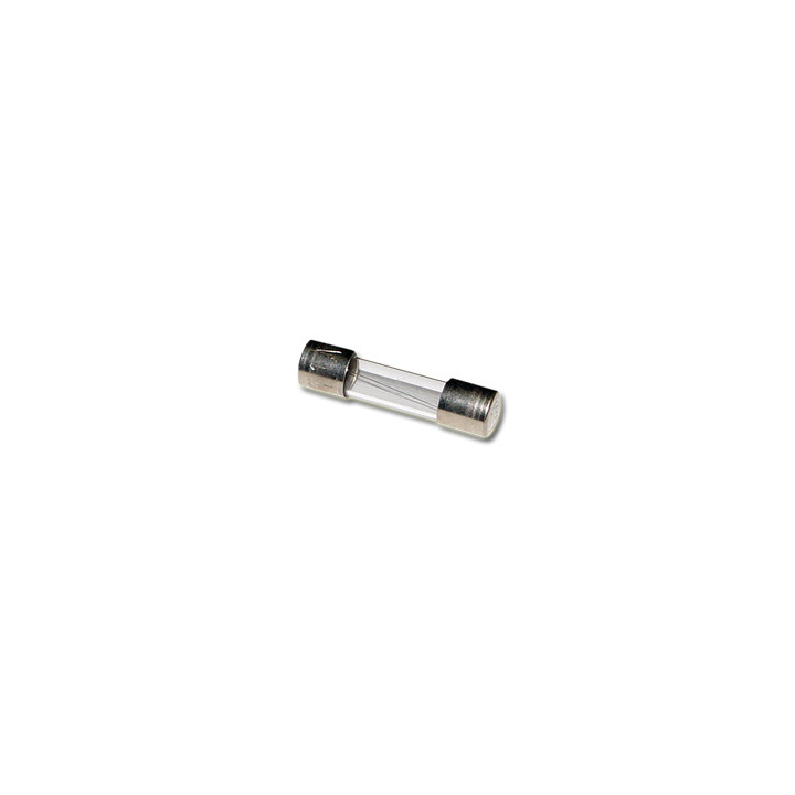 10 x Fusibile Vetro Ritardato 5x20mm 3.15A 250V - IEC60127 - EN60127 - VDE0820