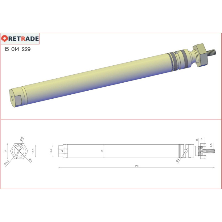Pistone Pneumatico 11x100mm Doppio Azzione Maschio