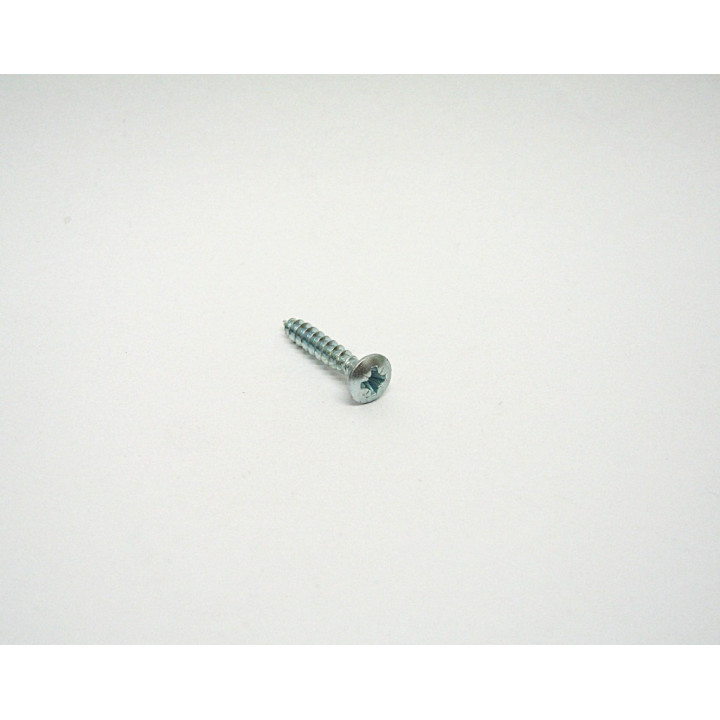 1000 pz. Vite Testa Ovale a Croce M4.0x25mm