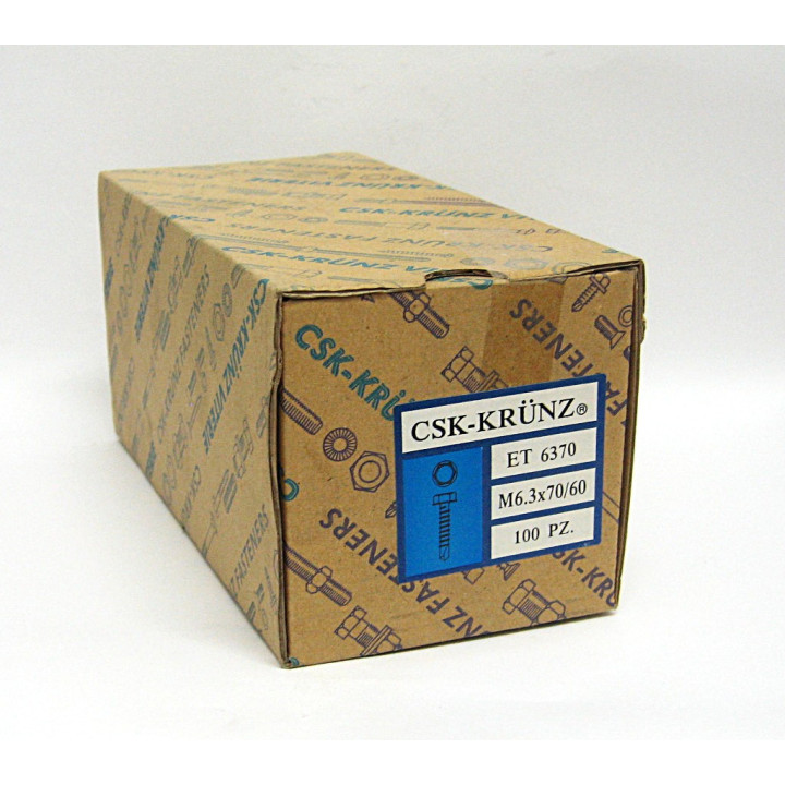 100 pz. Screw Head Hexagonal Galvanized M6.3x70/60mm