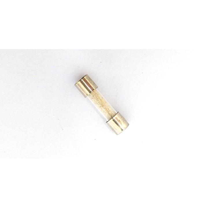 OEM 6.3A-250V - Fusibili 5x20mm