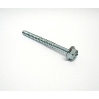 100 pz. Screw Hex Head Ch 10 Pitch 2.54mm M6.5x80mm