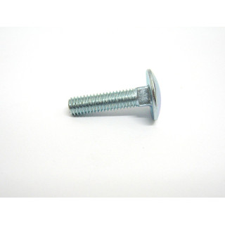 200 pz. Vite/Bullone Collo Quadrato  DIN603 Zincato M6x25mm