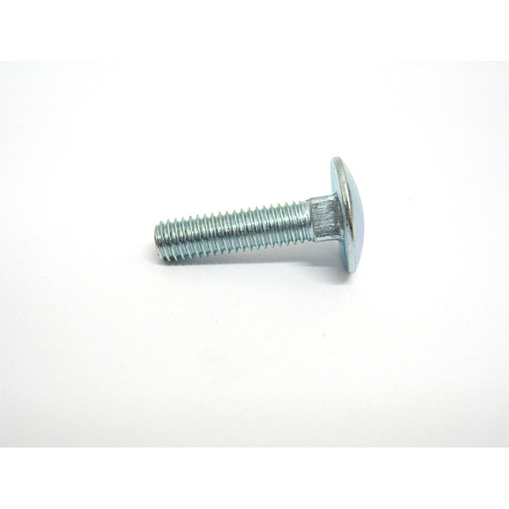 Vite/Bullone Collo Quadrato  DIN603 Zincato M6x25mm