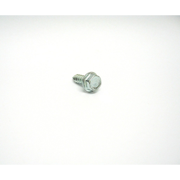 500 pz. Screw Hex Head Autofilettata Zinc Plated M6.3x19mm