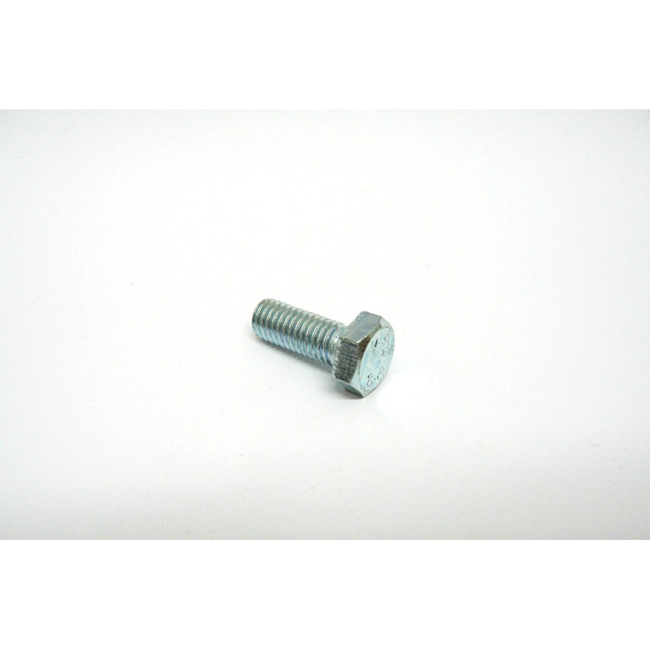 100 pz. Vite Testa Esagonale Zincato M8x20mm