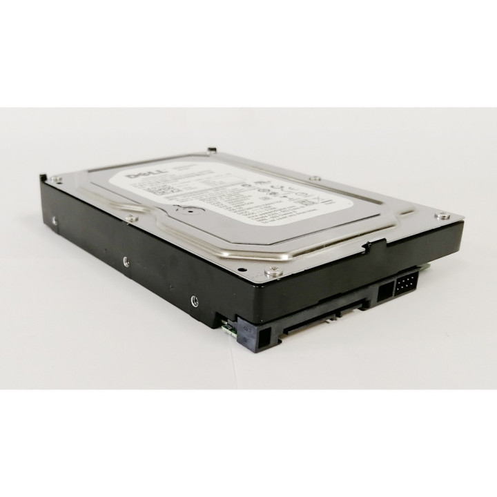 DELL WD2502ABYS - Hard disk 250GB - SATA - 3.5" Pollici