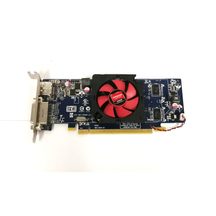 AMD Radeon Graphics Scheda video DVI 1GB C264