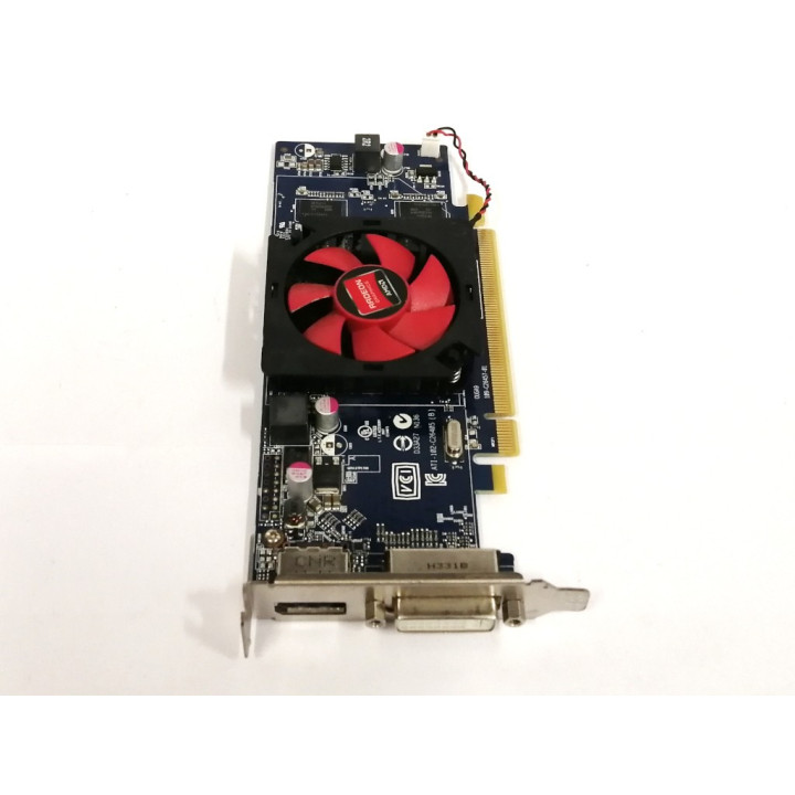 AMD Radeon Graphics Scheda video DVI 1GB C264