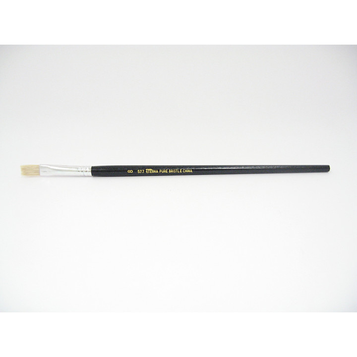 Plate Brush in White Bristle ETERNA (Pure Bristle) Professional Line Series 577 - Size 8