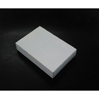 100 x Sacchetto Gelo 18x28cm in Scatola Neutra