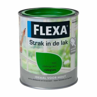 FLEXA Strak in de lak KIKKERGROEN hoogglans lt.075