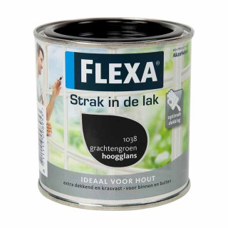 FLEXA Strak in de lak GRACHTENGROEN LT. 0.75