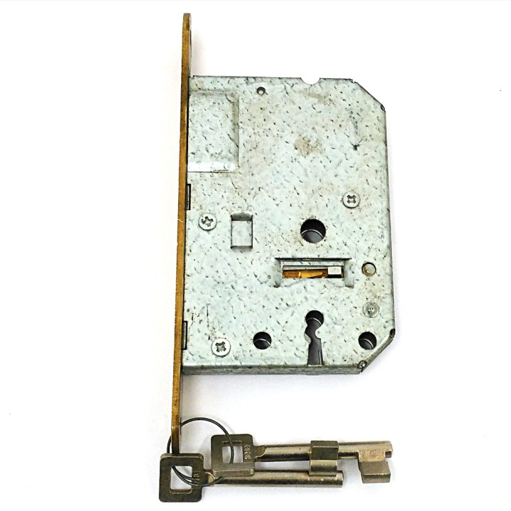 NEMEF 01178570 - Piastra Laccata di Blocco Anteriore per Porte - Misure 8x11,7 - Dorata